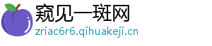 窥见一斑网